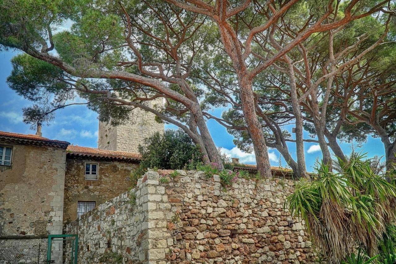 Immogroom - 5 Min From Beaches - Suquet - Ac Cannes Eksteriør bilde
